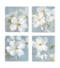 Strong Glue Hooks Kitchen Hooks Bedroom Hooks Door Suckers White Camellia Series(D0101HR49JV)