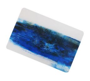 Set Of 2 Waterproof PVC Placemats Heat-resistant Pads Kitchen Table Mats Wetland(D0101HR4C3G)
