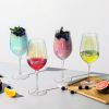 Iridescent Collection Wine Glasses set(D0102HPYVRA)